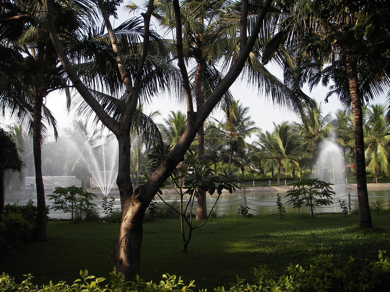 Chennai Smashers: Pioneering the Growth of Tennis in India’s Sporting Landscape