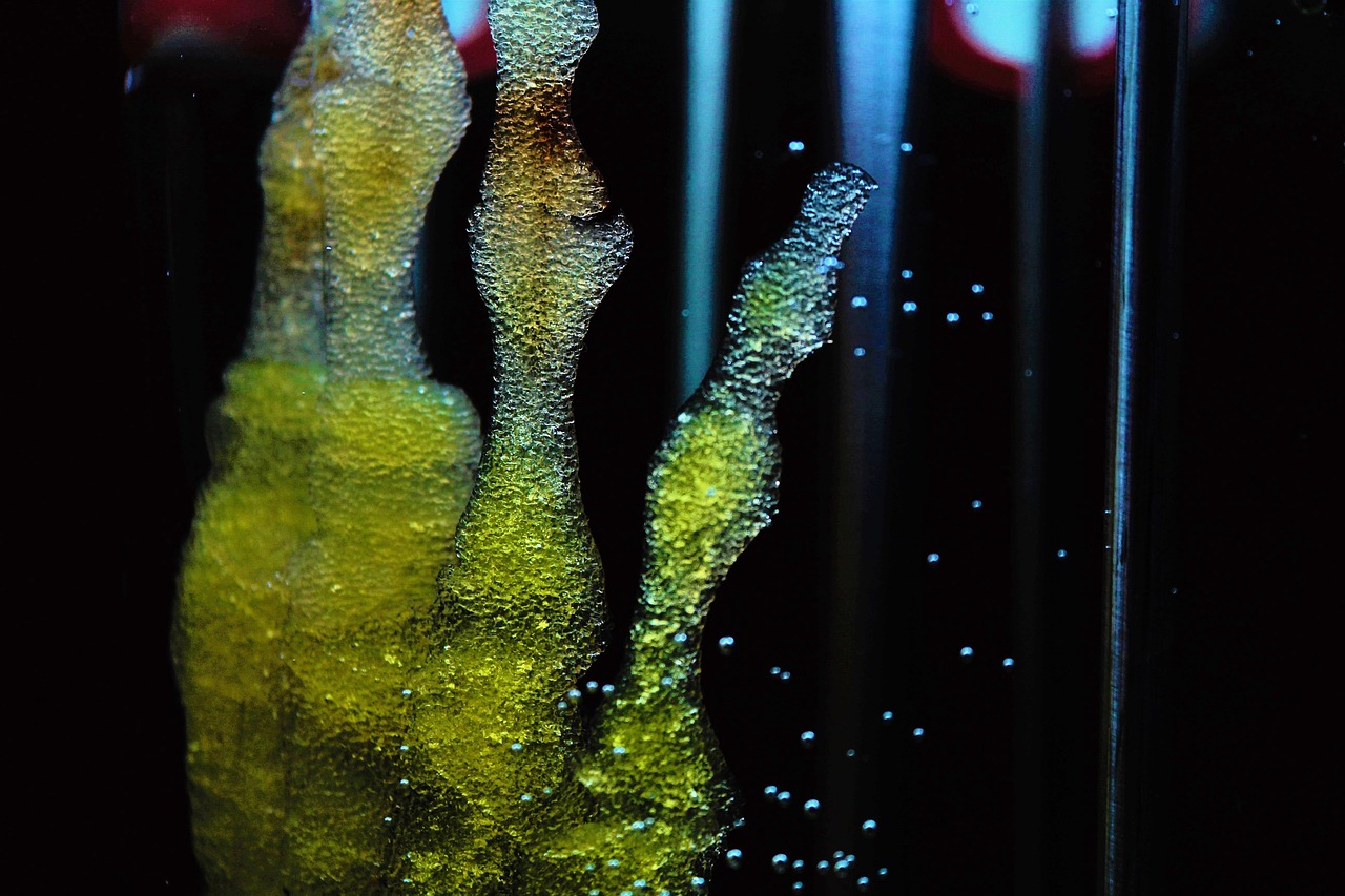 How to Estimate Stem Cell Preservation Cost?