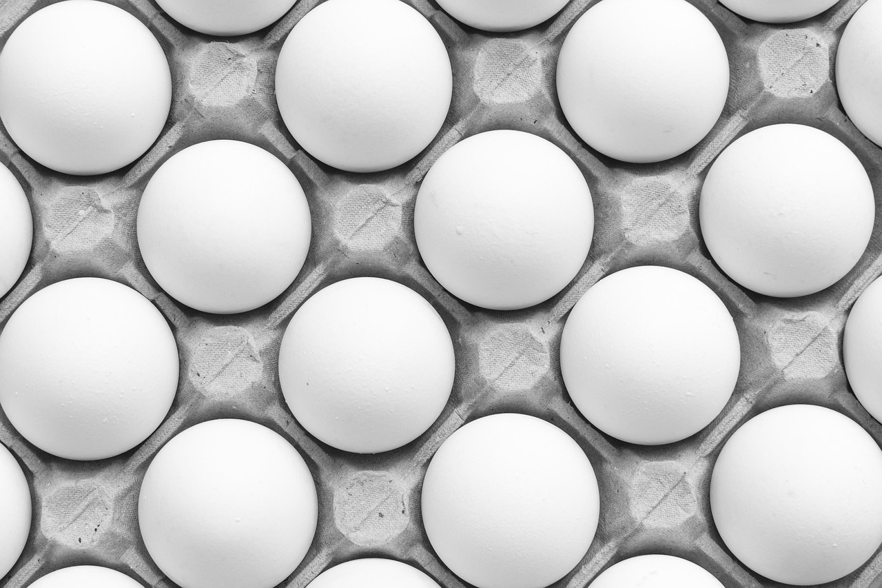 Advantages Of Egg Donation In San Diego Explained