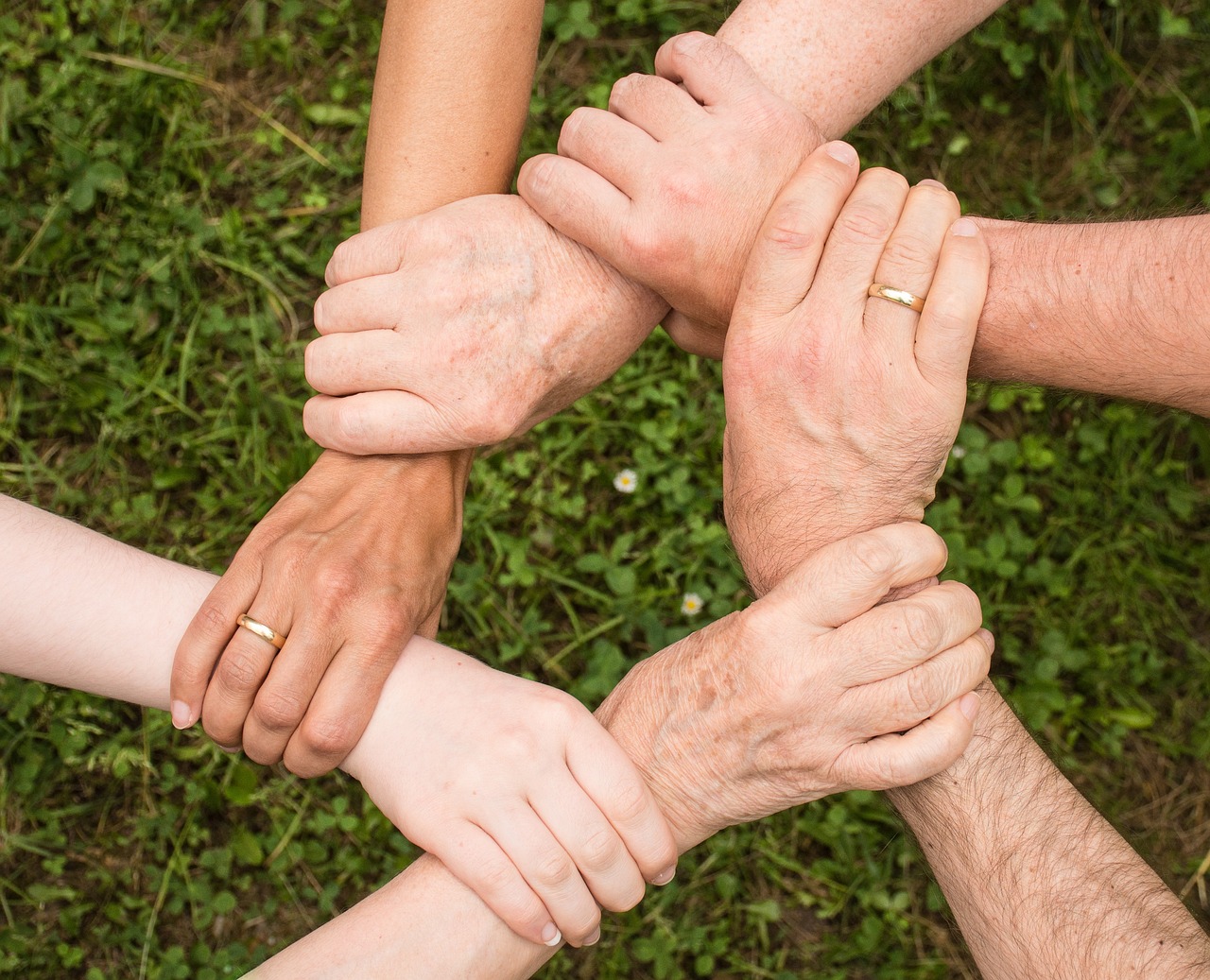 What makes peer support Brooklyn programs so powerful for youth and families?