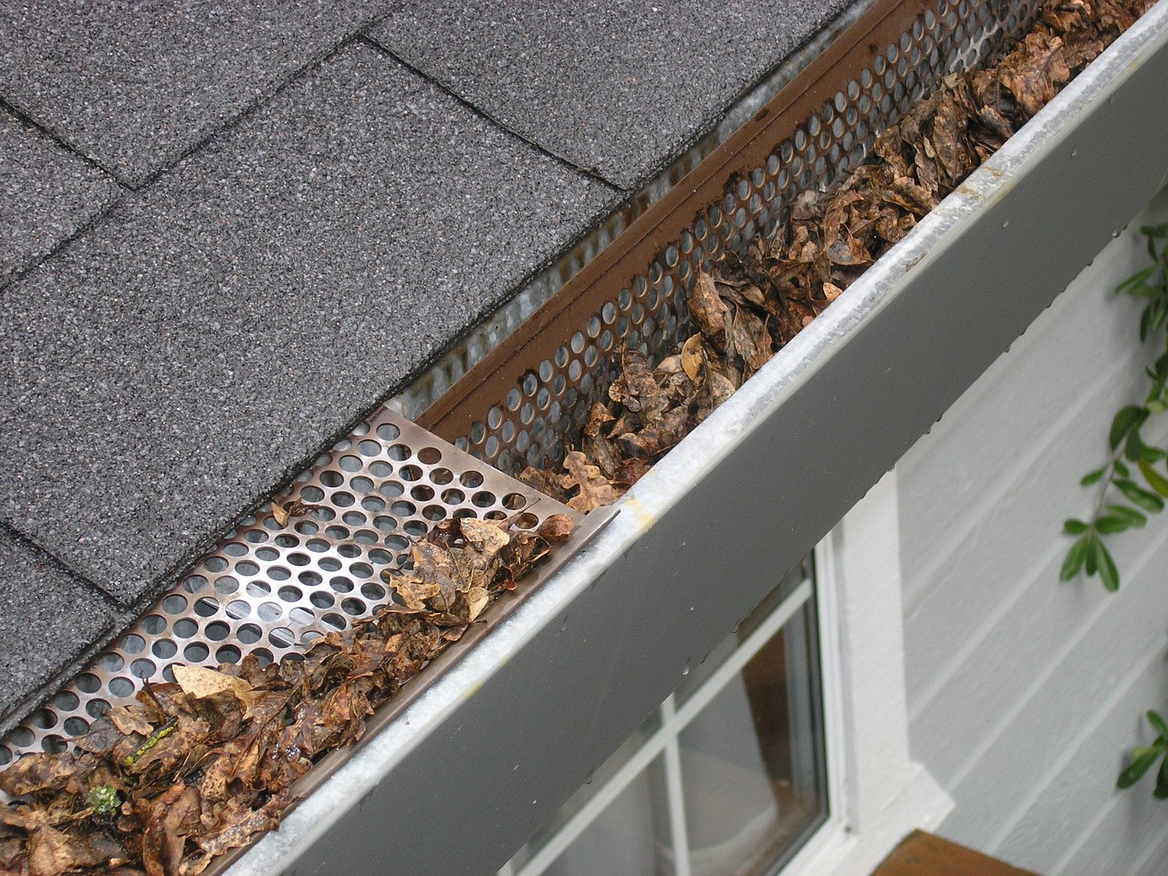 Gutter Guard Installation in Memphis: What Homeowners Need to Know Before They Buy