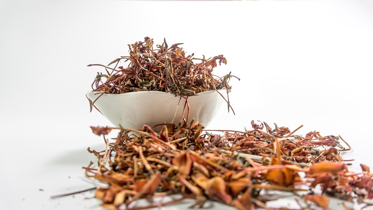 Ancient Ayurvedic Herbs in Modern Life: How Herbal Extracts Support Daily Wellness