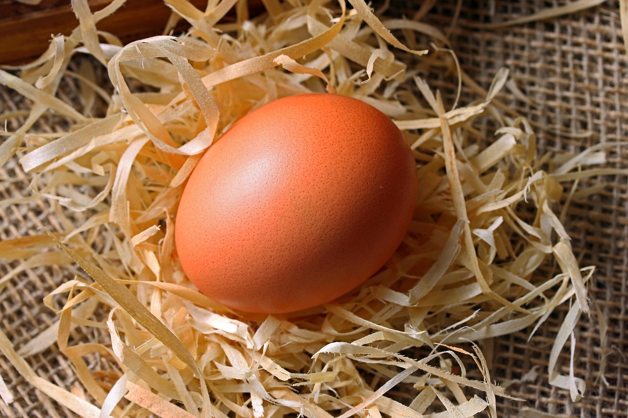 Egg Freezing: Preserving Fertility for Your Future