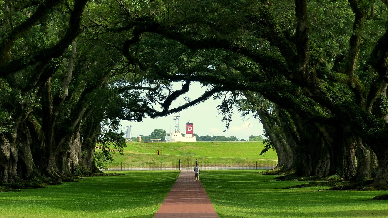 Louisiana Orthopedic Surgeons' Focus on Individual Wellness