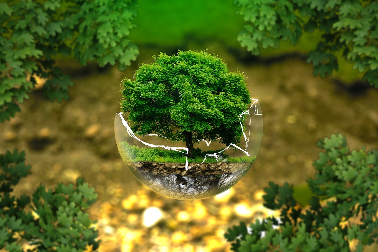 Brand Protection Services The Key To Maintaining Your Brand Integrity
