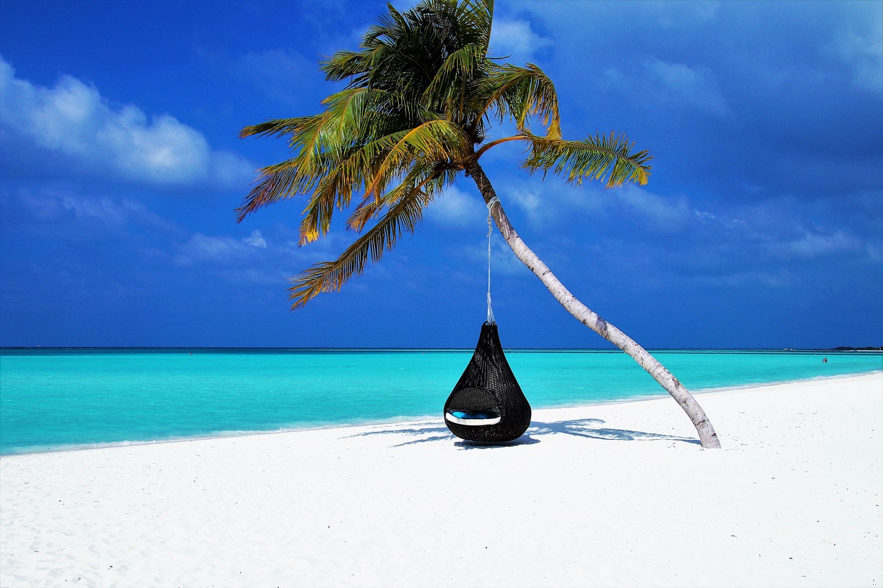 When Should You Perform Lagoon Dredging to Prevent Overflow?