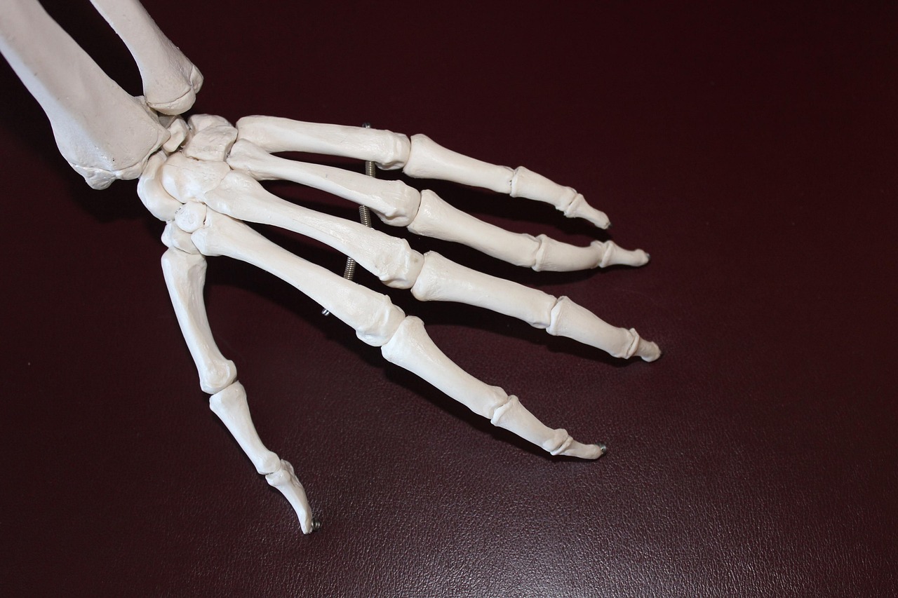 Comprehensive Guide To Joint Health: Conversations With Louisiana Orthopedic Surgeons