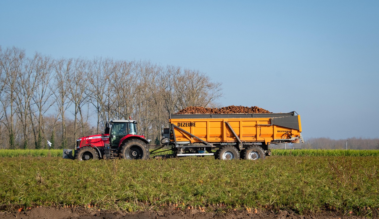 Spirulina Farming Equipment: Maximizing Yield and Quality