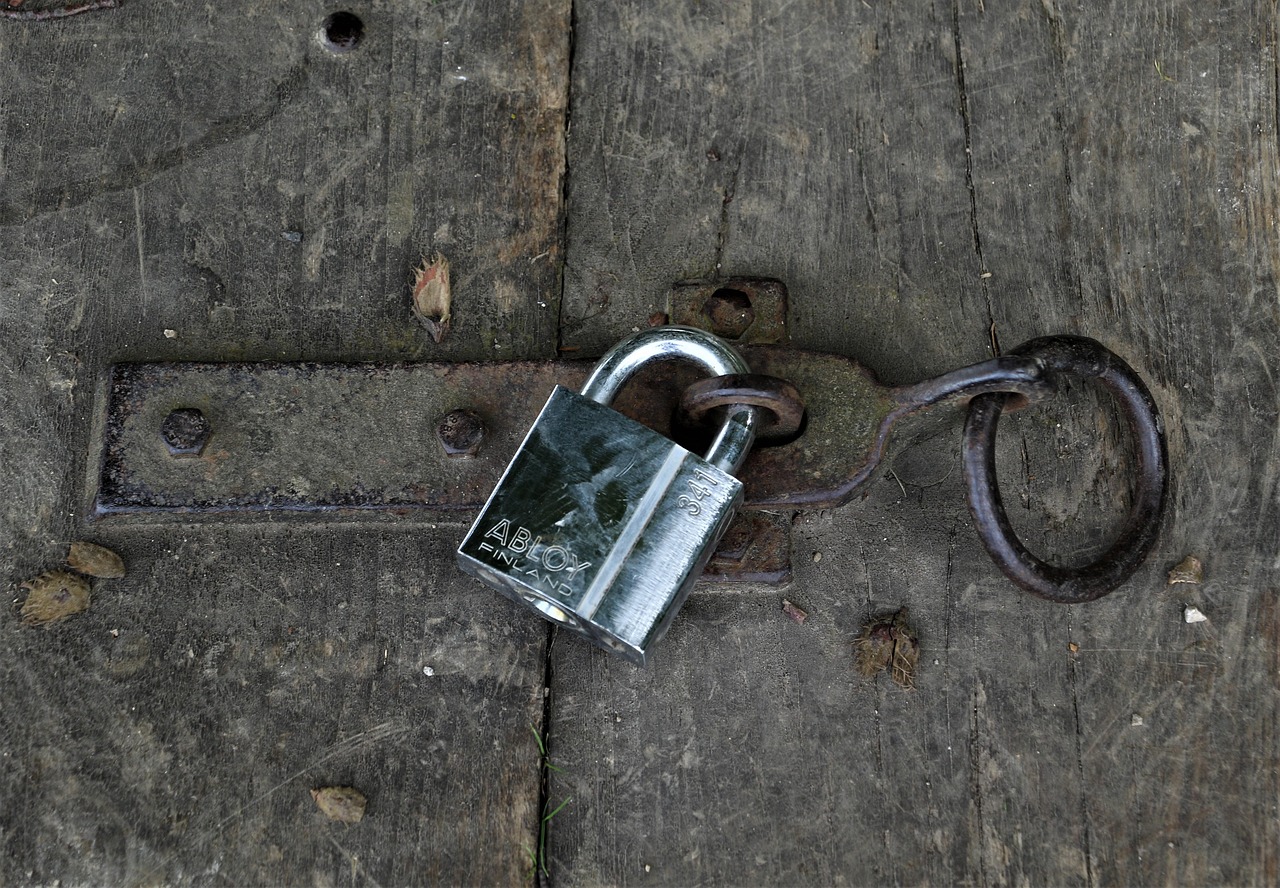 Why Do You Need A Modern Security Door Today?