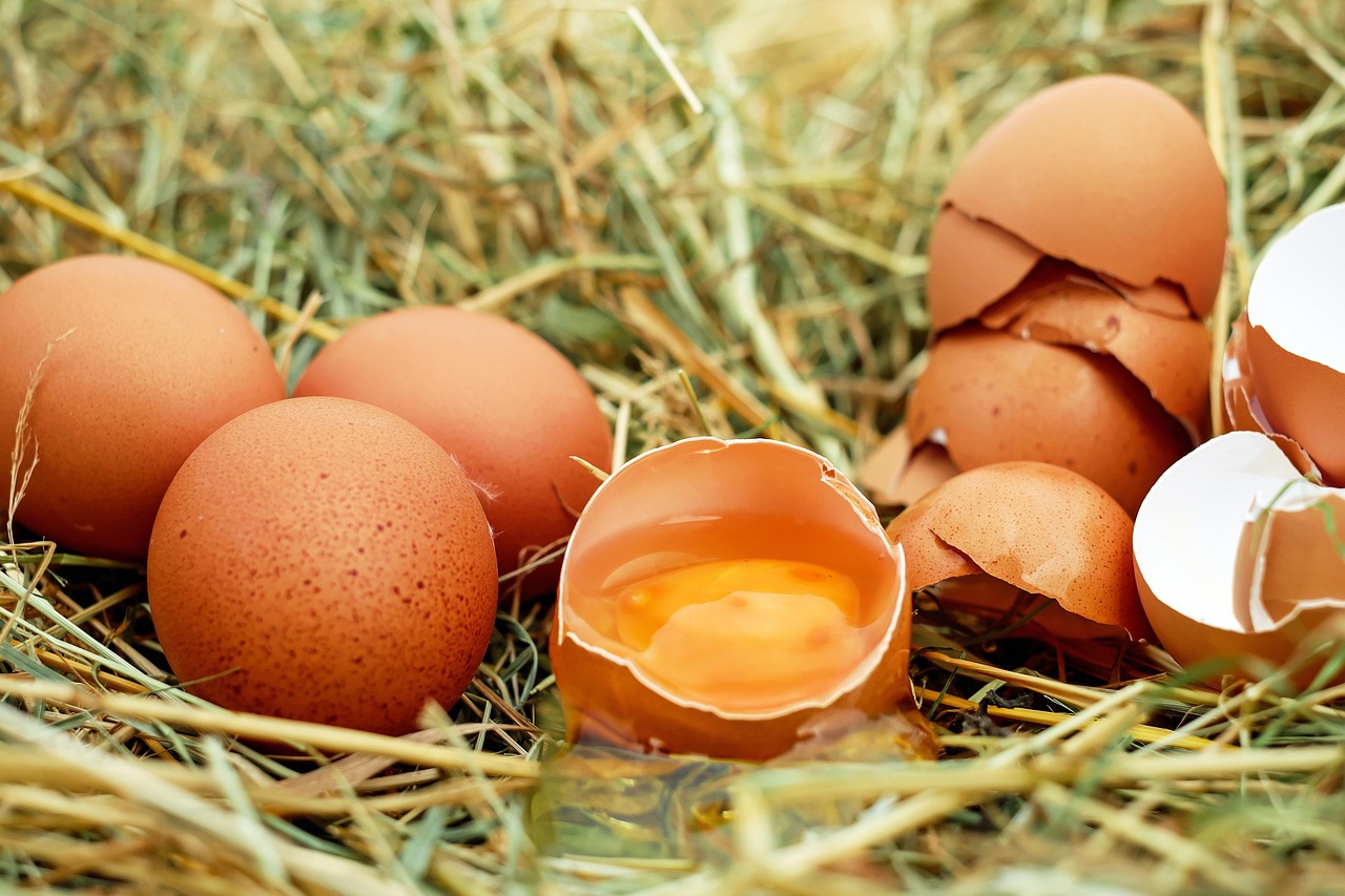 Understanding the Challenges of Finding the Right Egg Donor for Your Family