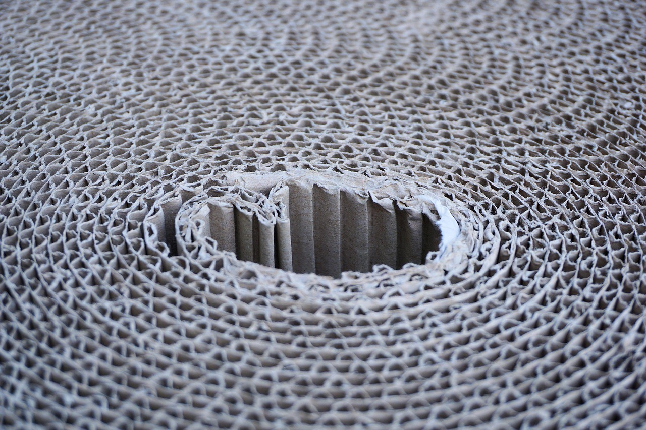 Top Considerations When Choosing Packaging Material Suppliers