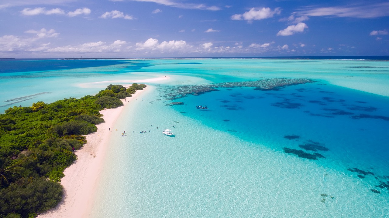 Paradise Found: Exploring The Allure Of Beaches Resort