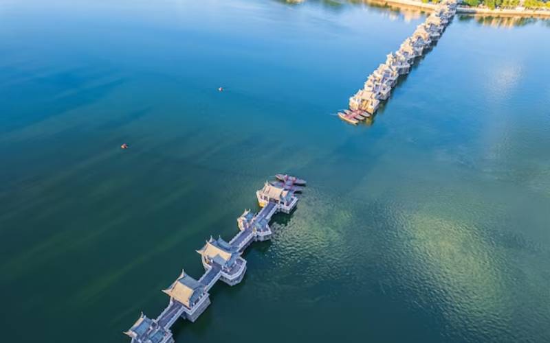 commercial aquatic services