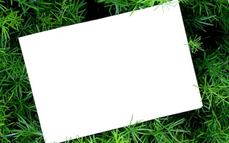 medical marijuana card Marco Island