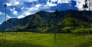 land for sale az
