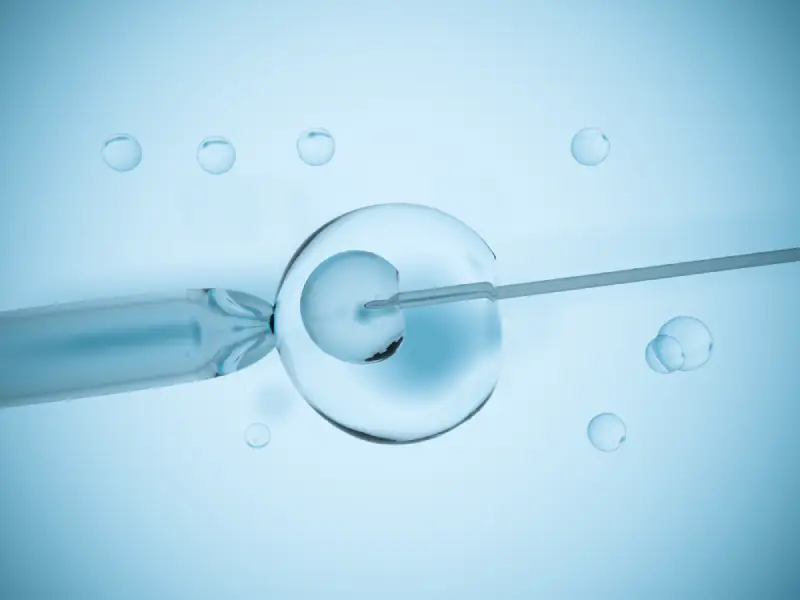 egg donation san diego