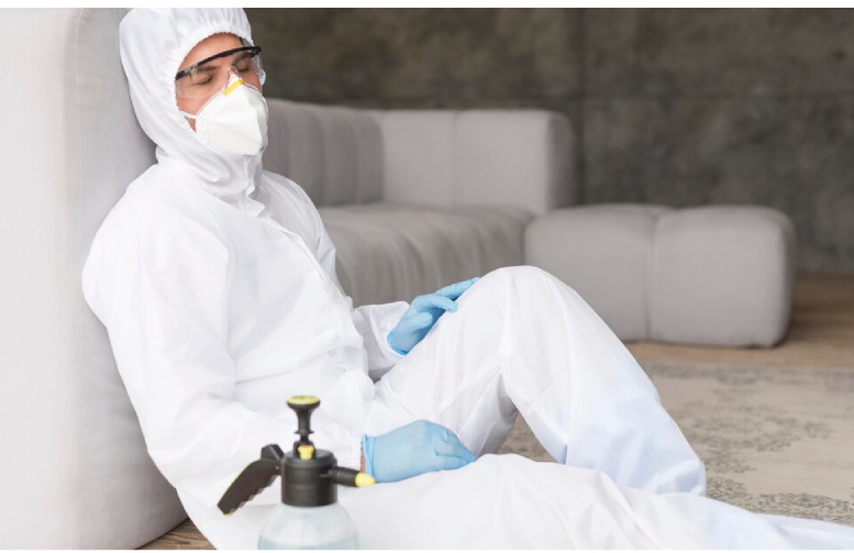 Bed Bug Exterminator Vaughan