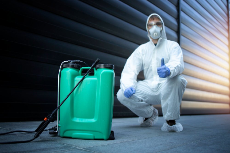 How To Choose The Right Bed Bug Exterminator In Vaughan?