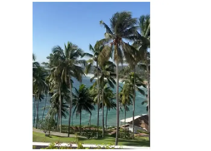 best time to visit kerala