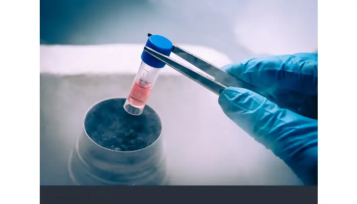 How Stem Cell Storage Can Be A Lifelong Investment?
