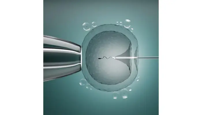 How Long Does The Egg Donation Process Take? A Timeline Breakdown